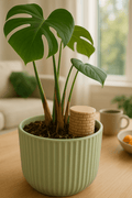 Wellie Brick-Look Plant Watering Well, 3D Printed Drip Insert