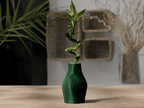 Lucky Bamboo Vase - OzFDM