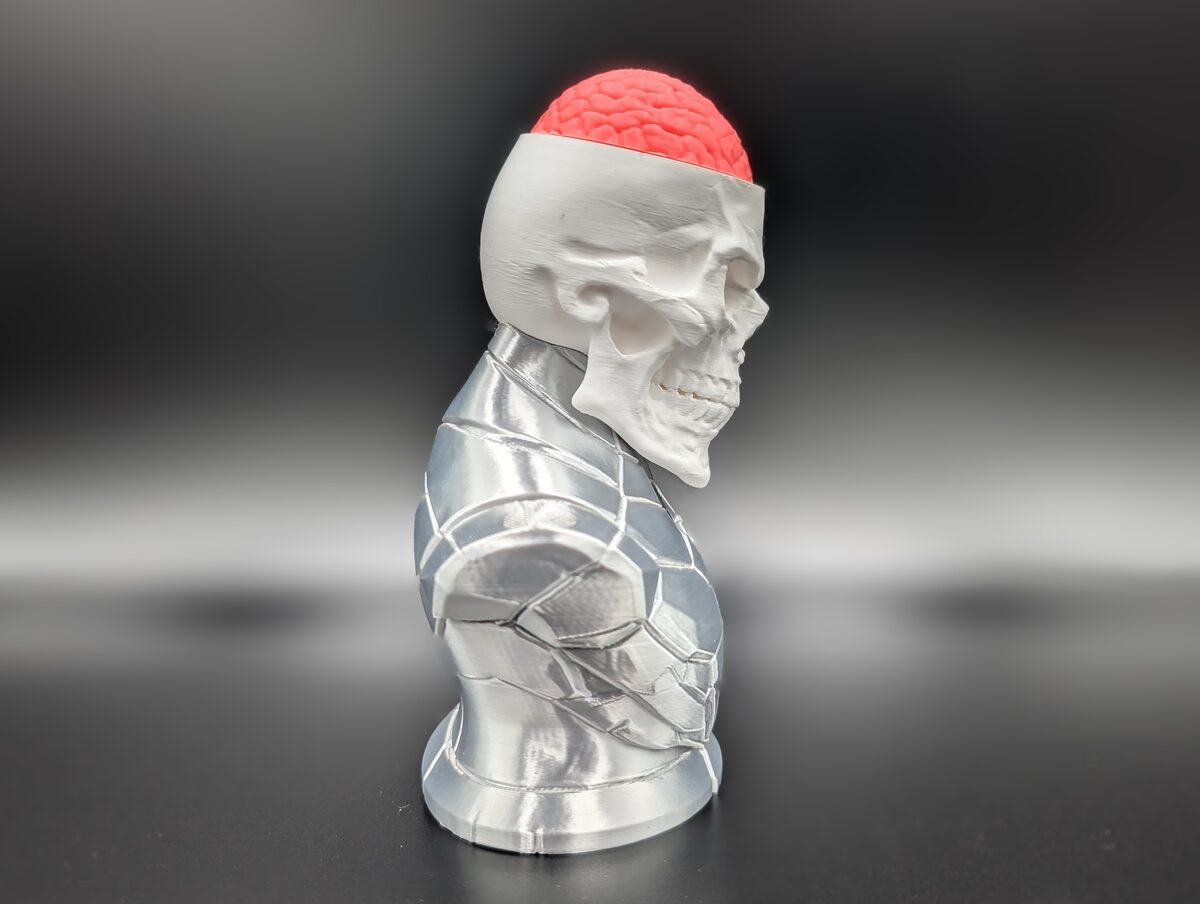 Craniumortis - No AMS / Multi-Part Bust