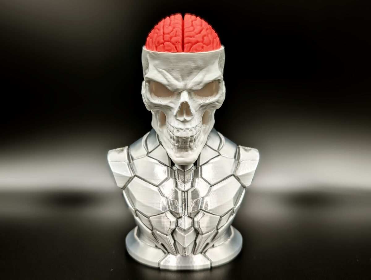 Craniumortis - No AMS / Multi-Part Bust