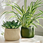 Dolce Wave Ridge Indoor Planter, 3D Printed Succulent Pot