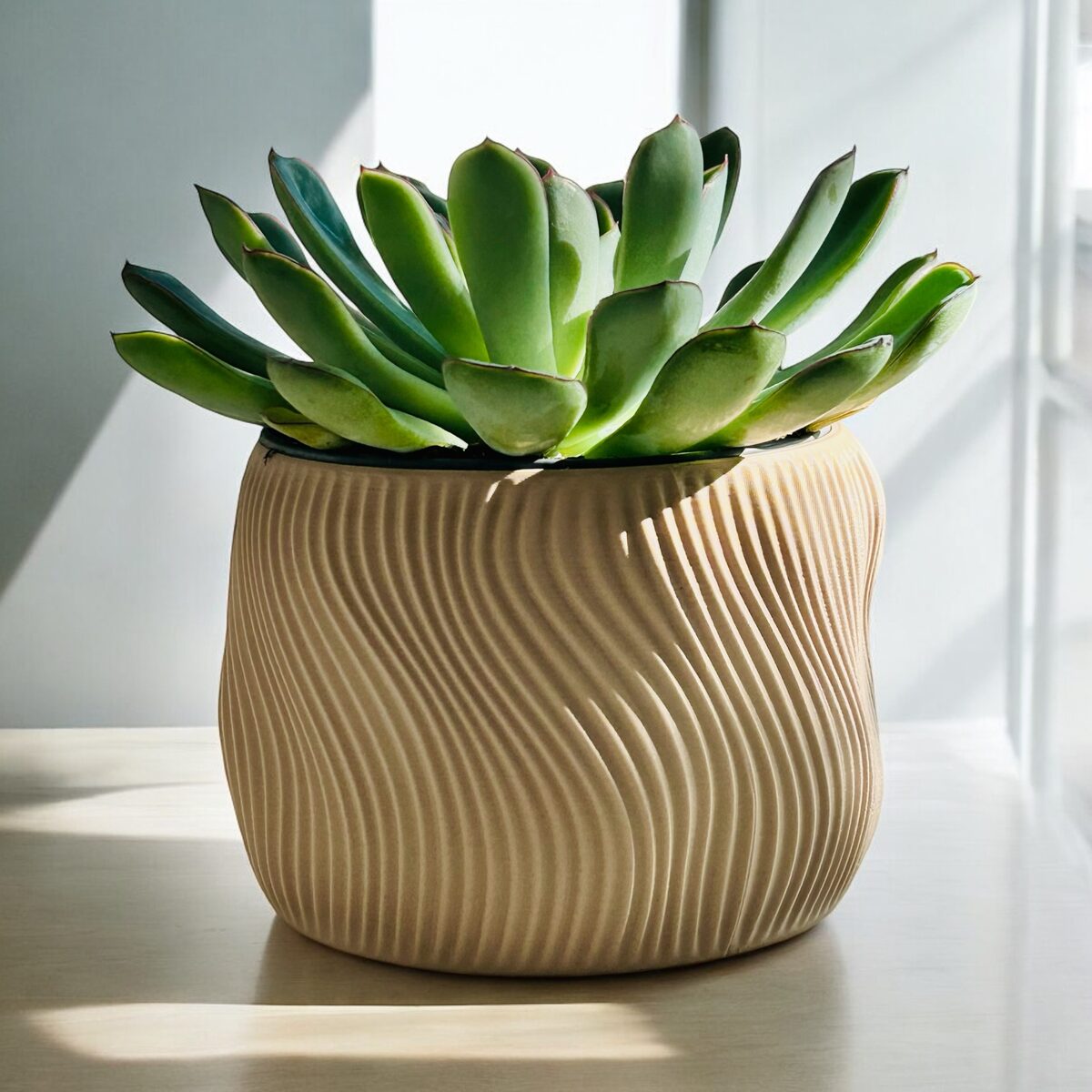Dolce | Indoor Planter