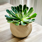 Dolce Wave Ridge Indoor Planter, 3D Printed Succulent Pot