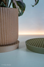 Plant Saucer Set, 3D Printed Honeycomb Drainage Tray, 140mm and 170mm