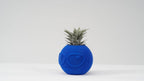 Suspicious Dude Face Vase, 3D Printed Ribbed Succulent Planter