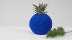 Suspicious Dude Face Vase, 3D Printed Ribbed Succulent Planter