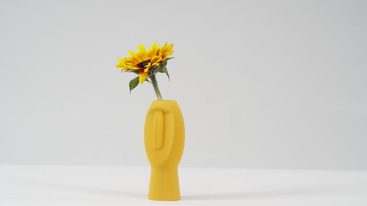 Silent Dude Vase