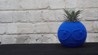 Suspicious Dude Face Vase, 3D Printed Ribbed Succulent Planter