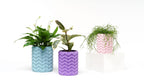 Babushka Vase - OzFDM