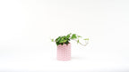 Babushka Wave Vase Trio, 3D Printed Nesting Vase Set