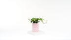 Blob Vase, 3D Printed Bubble Texture Planter