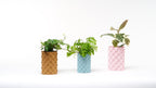 Wave Ripple Vase, 3D Printed Textured Flower Vase