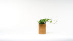 Porcupine Spike Textured Vase, 3D Printed Planter