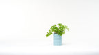 Porcupine Spike Textured Vase, 3D Printed Planter