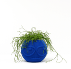 Suspicious Dude Face Vase, 3D Printed Ribbed Succulent Planter