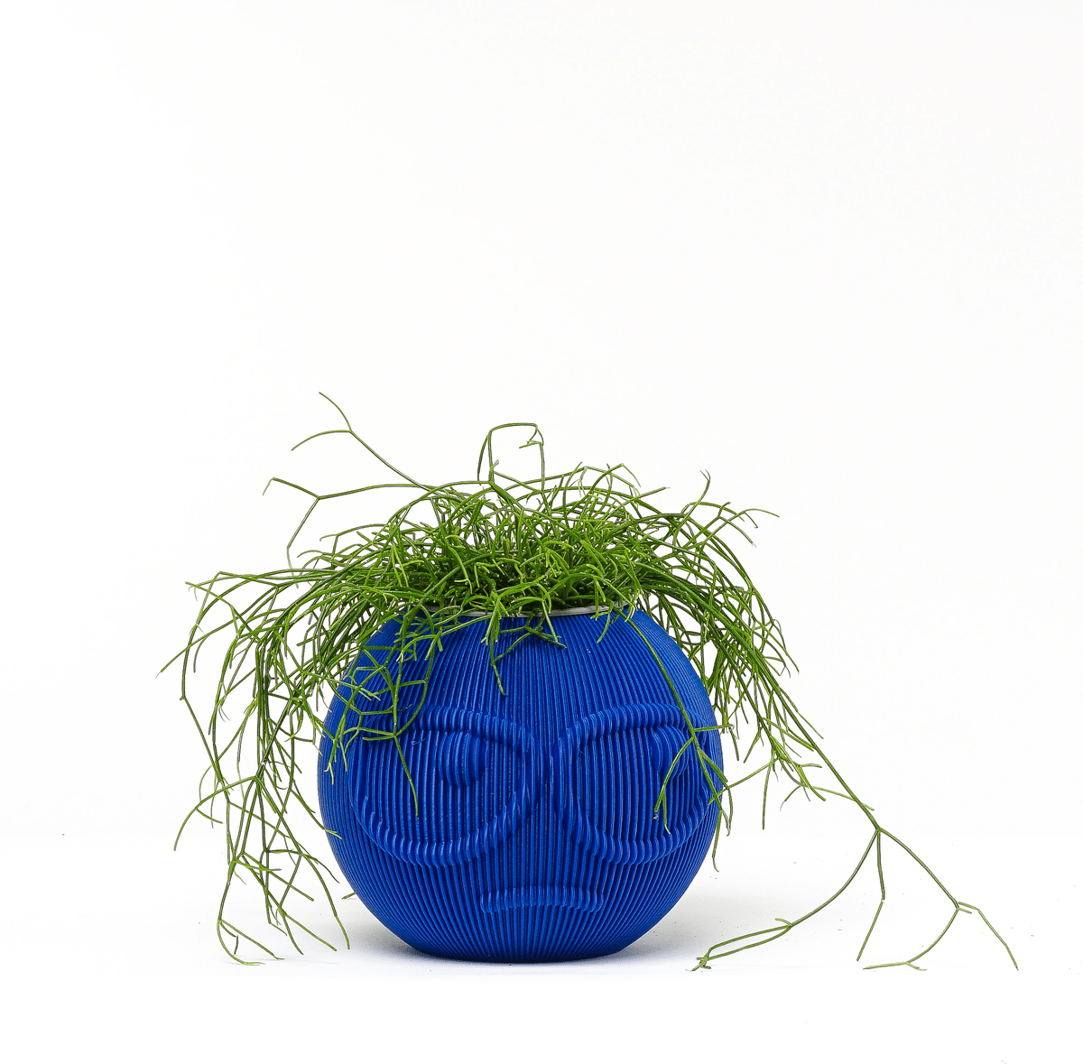 Suspicious Dude Face Vase, 3D Printed Ribbed Succulent Planter