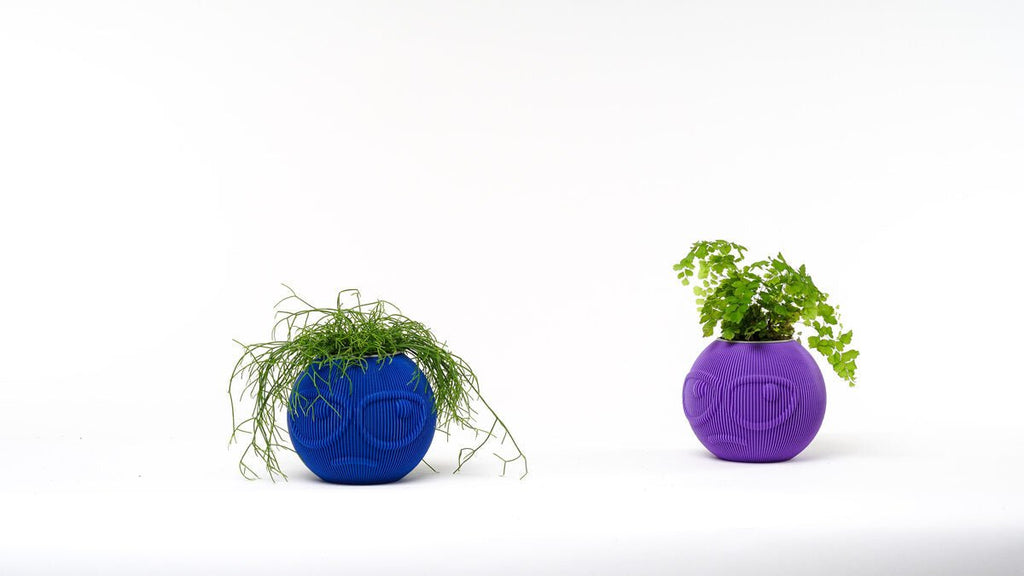 Suspicious Dude Face Vase, 3D Printed Ribbed Succulent Planter