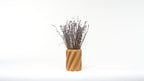 Spaghetti Vase - OzFDM