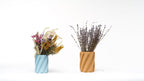 Spaghetti Vase - OzFDM