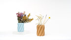 Spaghetti Vase - OzFDM