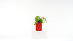 Spaghetti Vase - OzFDM