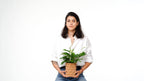 Honeycomb Wave 3D Printed Vase, Textured Planter