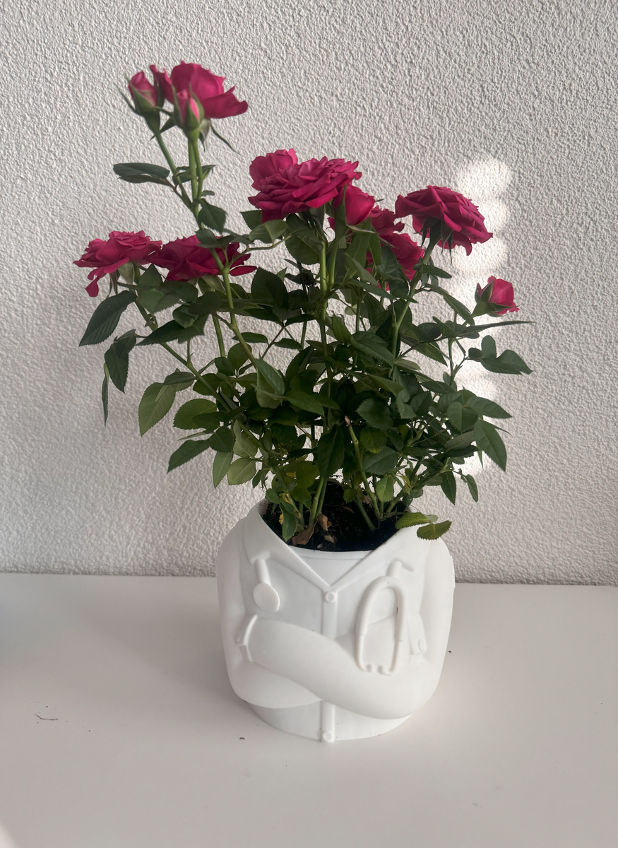 Doctor Planter Pot
