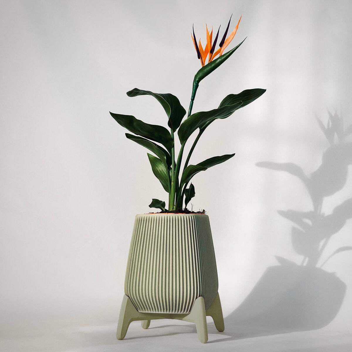 Freya | Standing Planter Pot