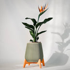 Freya Ribbed Planter Pot, 3D Printed Standing Plant Pot