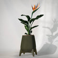 Freya Ribbed Planter Pot, 3D Printed Standing Plant Pot