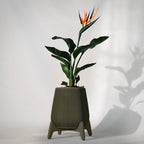 Freya Ribbed Planter Pot, 3D Printed Standing Plant Pot
