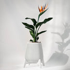 Freya Ribbed Planter Pot, 3D Printed Standing Plant Pot
