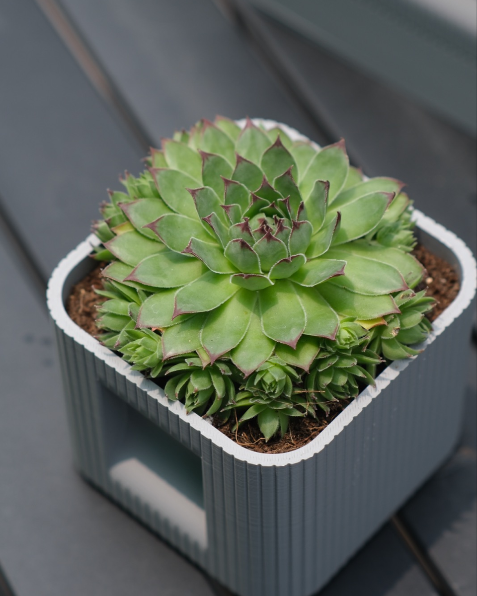 Aura DUO | Architectural Ribbed Square Planter with Hidden Drainage