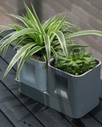 Aura DUO Ribbed Square Planter Set with Hidden Drainage