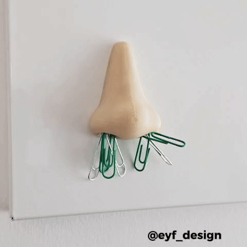 Crazy Nose Organizer