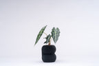 Ribbed Figure Eight Planter Vase, 3D Printed Sculptural Pot