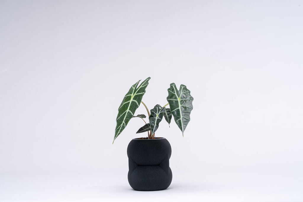 Ribbed Figure Eight Planter Vase, 3D Printed Sculptural Pot