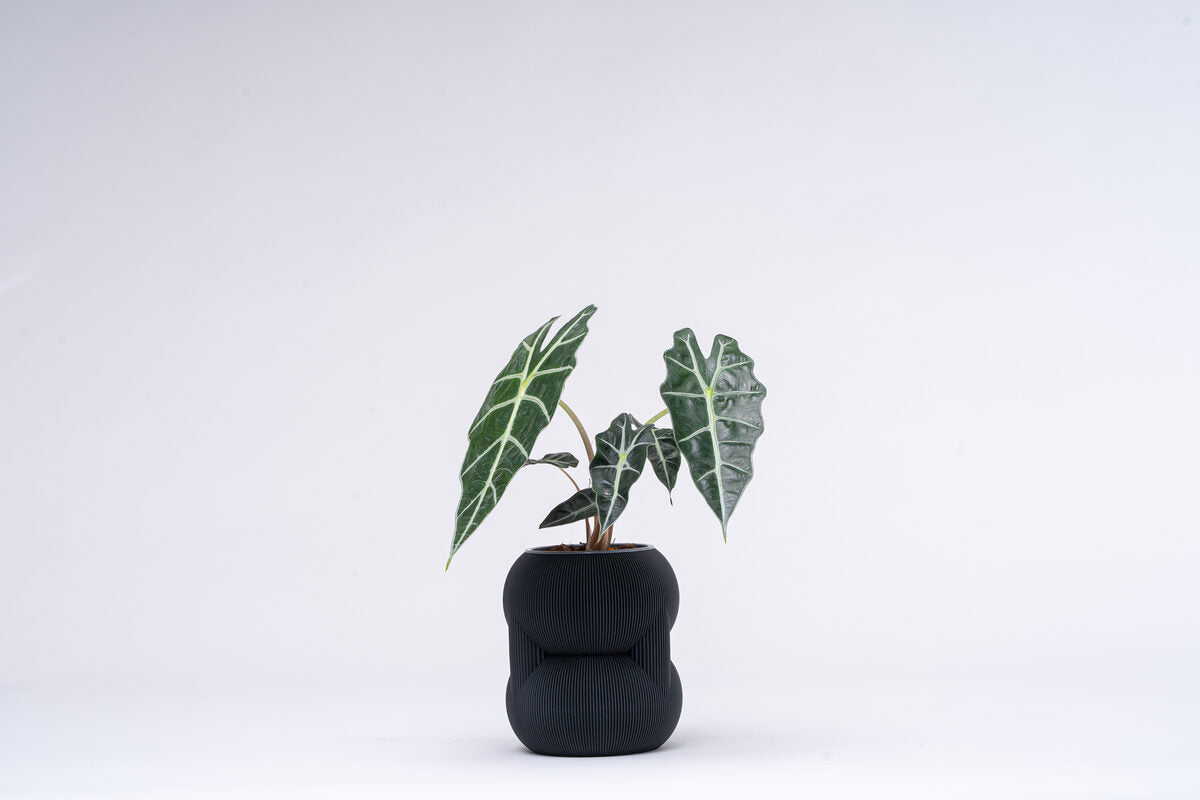 83 Vase