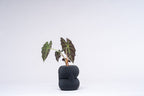 Ribbed Figure Eight Planter Vase, 3D Printed Sculptural Pot