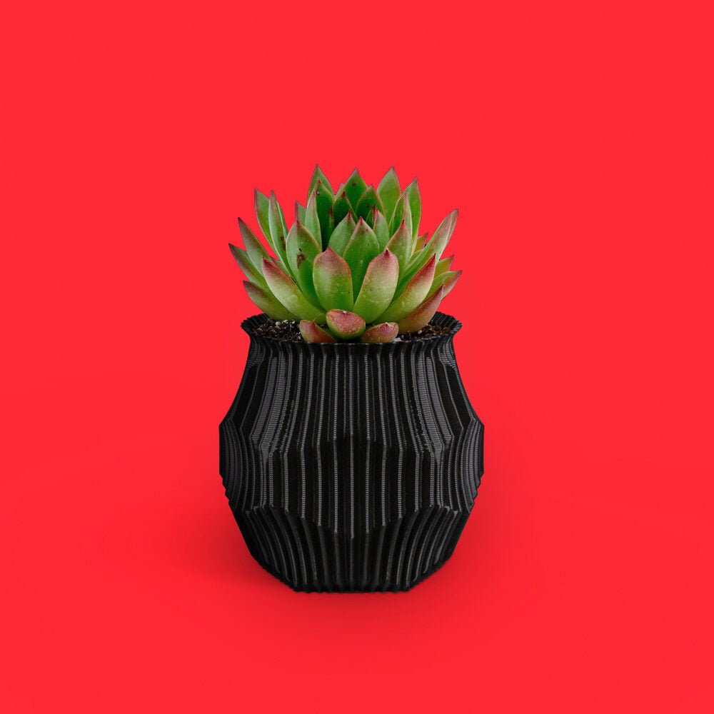 Hexa Faceted Succulent Planter Pot, 3D Printed Geometric Decor