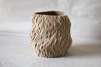 Sea Falcon Vase, 3D Printed Coral Texture Decor with Insert
