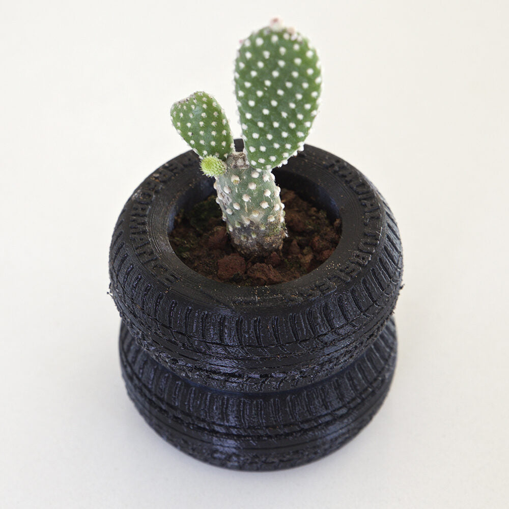 Tyre Planter
