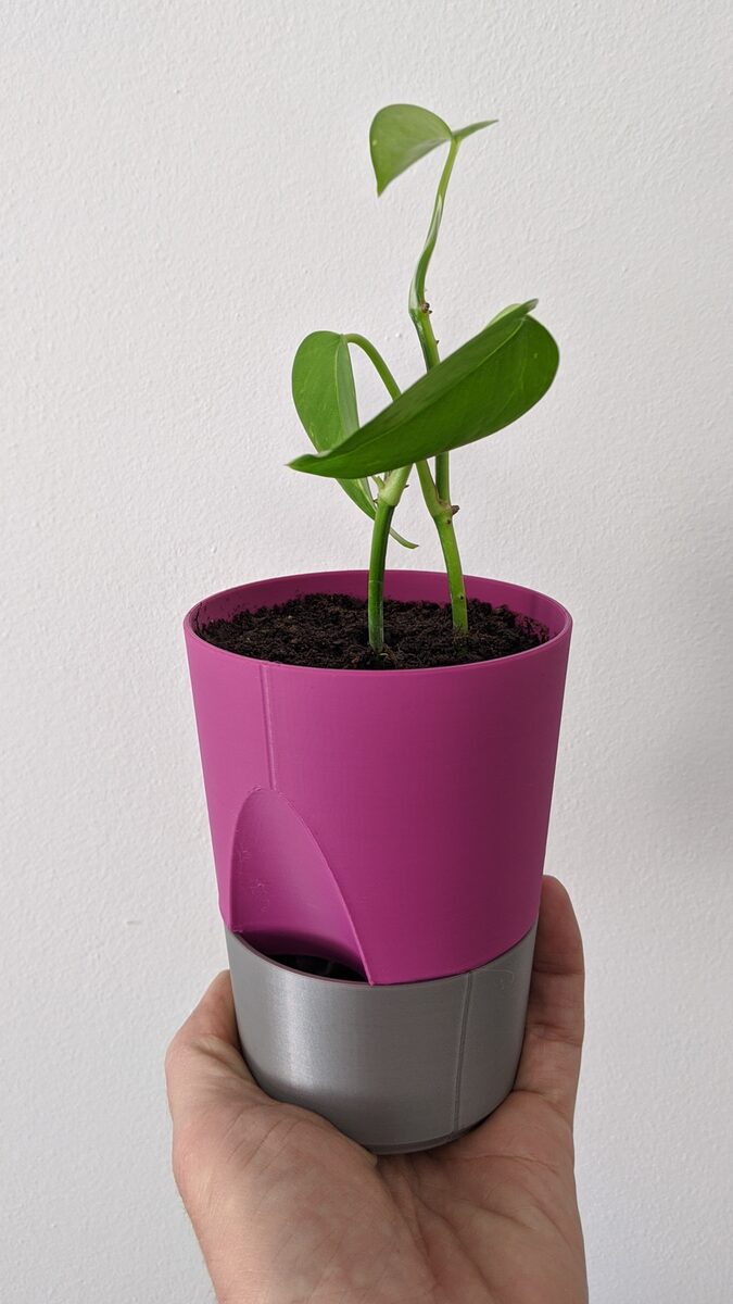 Planter 01
