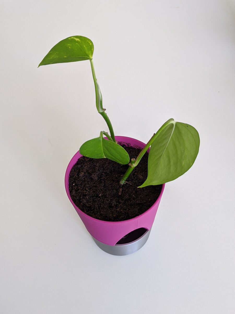 Planter 01