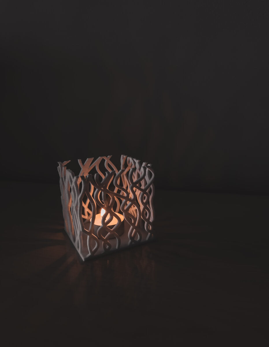 Algaecube