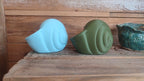 Natica Spiral Seashell Vase, 3D Printed Planter for Flowers