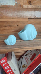 Natica Spiral Seashell Vase, 3D Printed Planter for Flowers