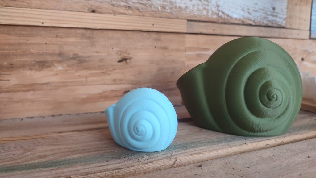 Natica Spiral Seashell Vase, 3D Printed Planter for Flowers