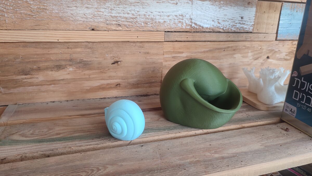 Natica Spiral Seashell Vase, 3D Printed Planter for Flowers