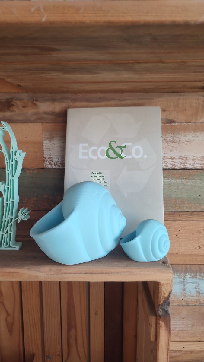 Natica Spiral Seashell Vase, 3D Printed Planter for Flowers